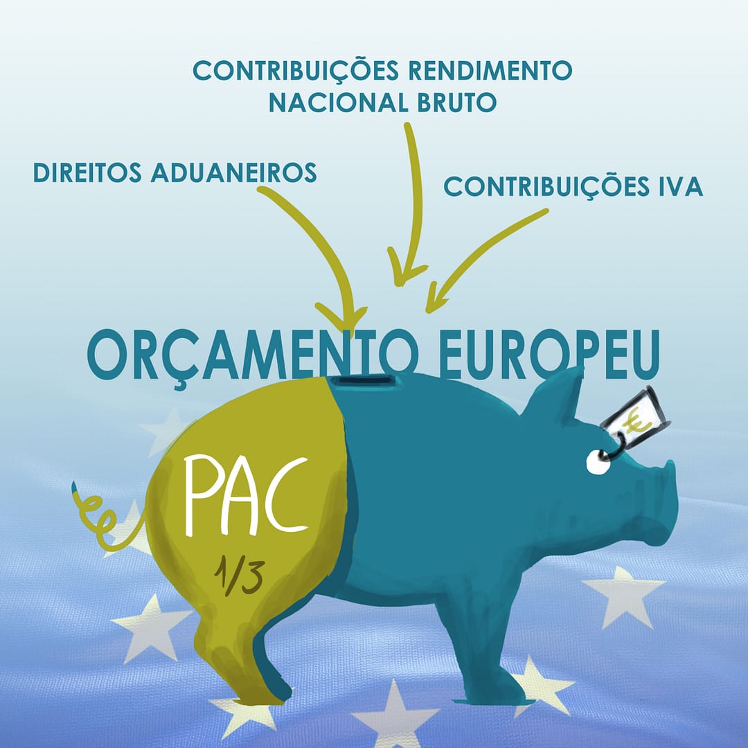 IlustracoesCIDAC-CAP_IL01