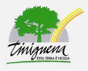 LOGO-TINISguena