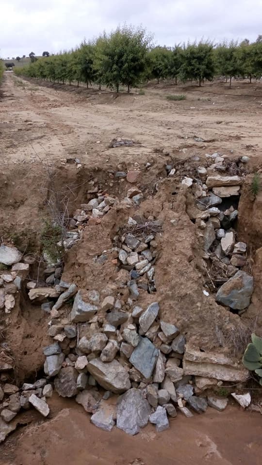 485896697_1062258429267048_2991711858724269288_n