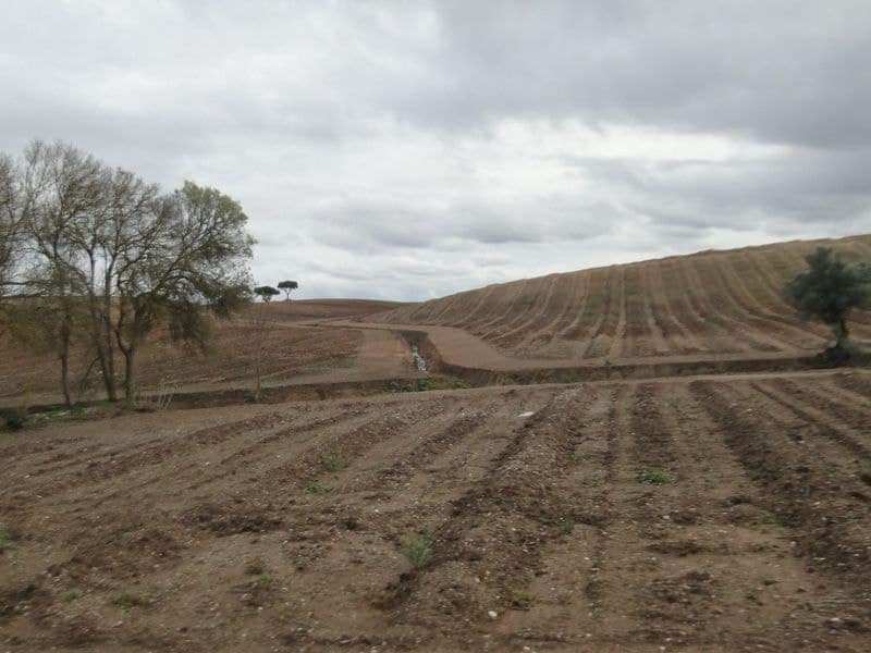 485051851_1062258675933690_6898564362954704482_n