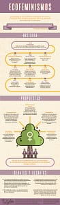 Infografia ecofeminismo
